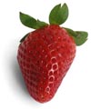 fraise