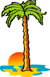 pool-party-palm