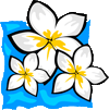 tropicale-fleur